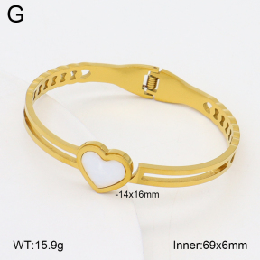 2BA300604aaki-704  Stainless Steel Bangle