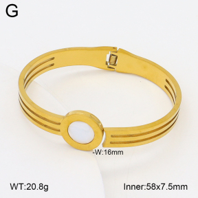 2BA300605aaki-704  Stainless Steel Bangle