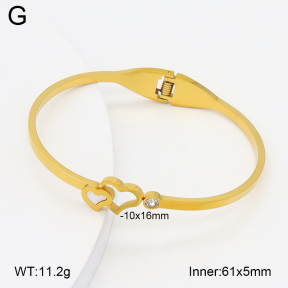 2BA402726aaki-704  Stainless Steel Bangle