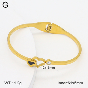 2BA402727aaki-704  Stainless Steel Bangle