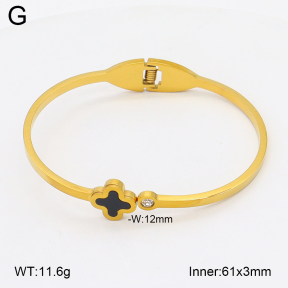 2BA402728aaki-704  Stainless Steel Bangle