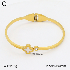 2BA402729aaki-704  Stainless Steel Bangle