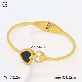 2BA402731aaki-704  Stainless Steel Bangle