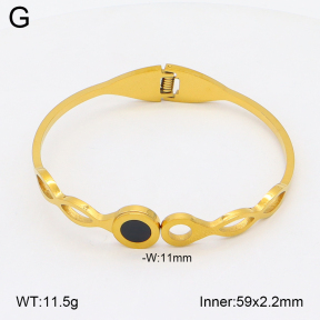 2BA402732aaki-704  Stainless Steel Bangle