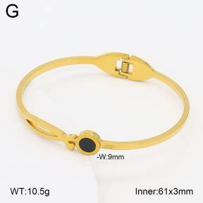 2BA402733aaki-704  Stainless Steel Bangle