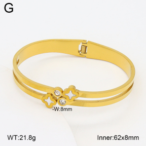 2BA402734vbll-704  Stainless Steel Bangle