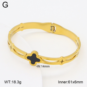 2BA402736aaki-704  Stainless Steel Bangle