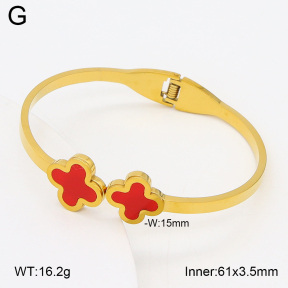 2BA402737aako-704  Stainless Steel Bangle