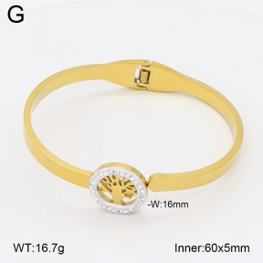 2BA402739aako-704  Stainless Steel Bangle