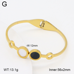 2BA402740aako-704  Stainless Steel Bangle