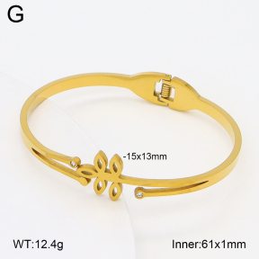 2BA402741aaki-704  Stainless Steel Bangle