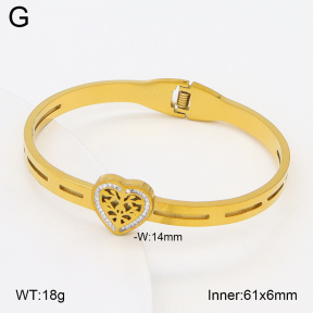 2BA402742aako-704  Stainless Steel Bangle