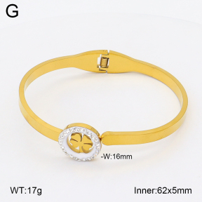 2BA402743aako-704  Stainless Steel Bangle