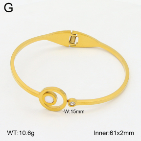 2BA402744aaki-704  Stainless Steel Bangle