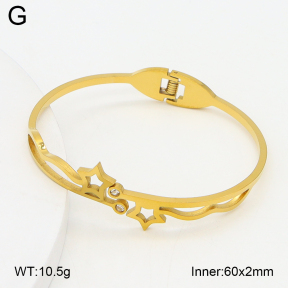 2BA402745aaki-704  Stainless Steel Bangle