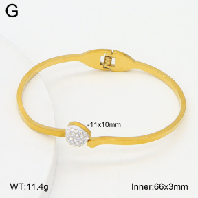 2BA402746aaki-704  Stainless Steel Bangle