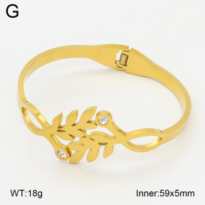 2BA402748aaki-704  Stainless Steel Bangle