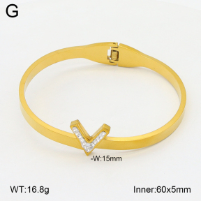 2BA402749aako-704  Stainless Steel Bangle