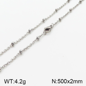 5N2000847aajl-641  Stainless Steel Necklace