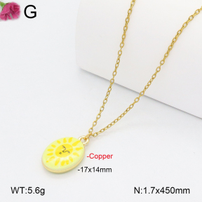 F2N300482vbll-J72  Fashion Copper Necklace