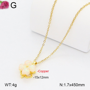 F2N401365vbll-J72  Fashion Copper Necklace