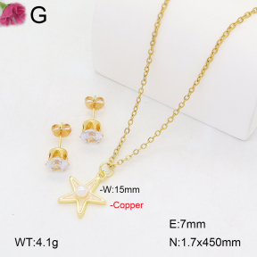 F2S006655ablb-J72  Fashion Copper Sets