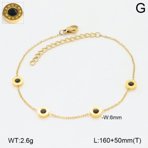 2B4005651vbnl-743  Stainless Steel Bracelet