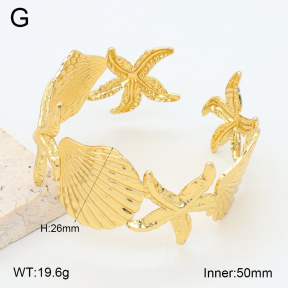 2BA202533bbml-480  Stainless Steel Bangle