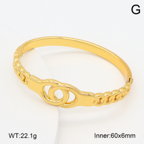 2BA202535bbml-382  Stainless Steel Bangle