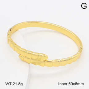 2BA202545bbml-382  Stainless Steel Bangle