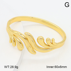 2BA202569bbml-382  Stainless Steel Bangle