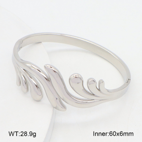 2BA202570vbll-382  Stainless Steel Bangle