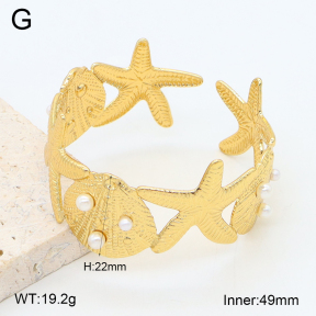 2BA300606vbnl-480  Stainless Steel Bangle