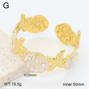 2BA300607vbpb-480  Stainless Steel Bangle