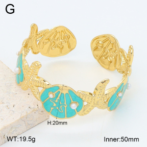 2BA300610vbpb-480  Stainless Steel Bangle