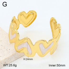 2BA300613vbpb-480  Stainless Steel Bangle