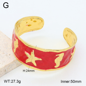 2BA300616vbpb-480  Stainless Steel Bangle