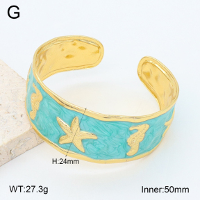 2BA300617vbpb-480  Stainless Steel Bangle