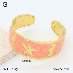 2BA300618vbpb-480  Stainless Steel Bangle