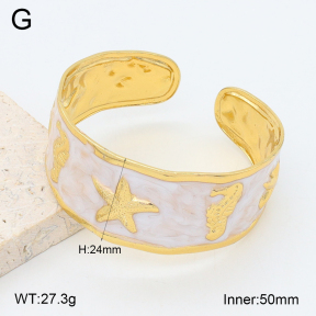 2BA300619vbpb-480  Stainless Steel Bangle