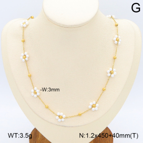 2N3003252bhia-743  Stainless Steel Necklace