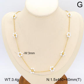 2N3003253bhia-743  Stainless Steel Necklace