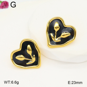 F2E301114vail-J199  Fashion Earrings
