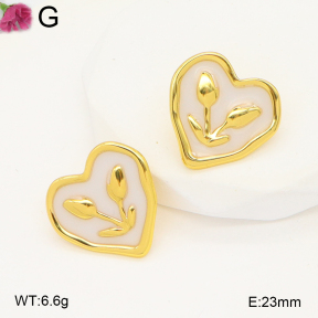 F2E301117vail-J199  Fashion Earrings