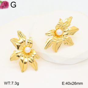 F2E301137avja-J199  Fashion Earrings
