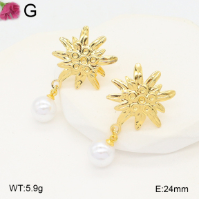 F2E301140avja-J199  Fashion Earrings