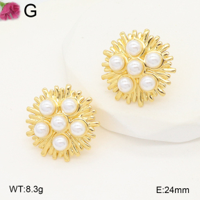 F2E301146aajl-J199  Fashion Earrings