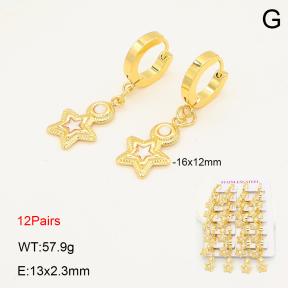 2E3003977ajma-446  Stainless Steel Earrings