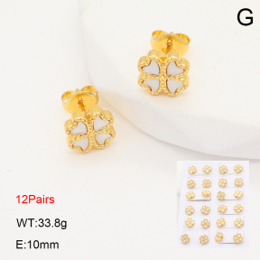 2E3003982bika-446  Stainless Steel Earrings