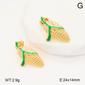 2E3003984avja-446  Stainless Steel Earrings